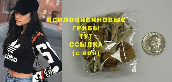 амф Аркадак